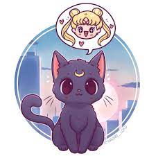 luna and usagi that is serena s japanese name i prefer the english names but then again i grow sailor moon cat sailor moon art sailor moon