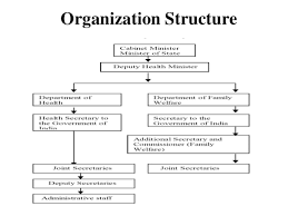 Accounting Department Organizational Online Charts Collection