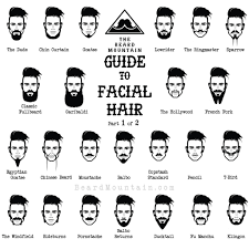 Pin On Goatee