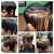 Quick Weave Glue In Weave On Short Hair