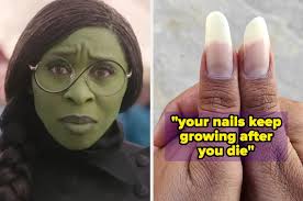 Mummified Austrian priest's rectum played important role in preservation