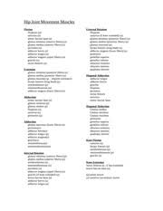 Hip Joint Movement Muscles Answer Key Hip Joint Movement