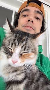 This is Remy, the wonderful mama cat I’ve been fostering with  @straynomorela, and she’s looking for a forever home. She’s a really sweet,  affectionate girl , who loves getting pets from humans., If ...