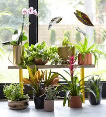 There's a great selection of decorative, modern, unique, and artisan indoor planters to be found including classic terracotta planters, tall ceramic. Containers For Houseplants Better Homes Gardens