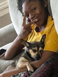 Lost Dog in Norfolk, Virginia, Near Stem Academy