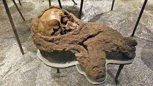 Historiska museet uppmärksammar mᴀssakern vid muren 1361 i två  utställningar - P4 Gotland | Sveriges Radio