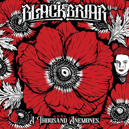 Copertina di A Thousand Anemones