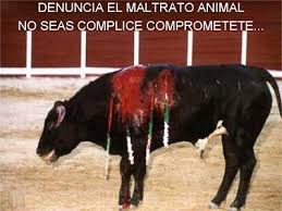 No Maltrato Y Matanza Animal Denuncias En Espana Animals Animal Welfare Taunt