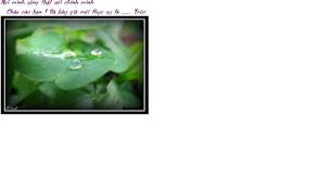 Image result for tbn:cRxpWML3C6TQFM::farm3.static.flickr.com/2382/2420623259_e3c8cd4fd8.jpg