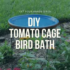 The last thing to do is to place your concrete bird bowl in the middle of the garden or where you prefer, fill it with water and wait for the birds to come and enjoy their concrete bath. Diy Tomato Cage Bird Bath My Life Abundant