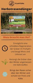 Pin Auf Garten Ideen Allgemein