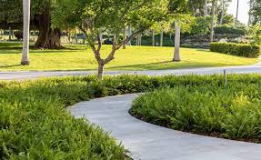 Green Thumb Landscape Architect Enzo Enea On Bringing Mysticism To Miami S Waterfront Landscape Architecture Design Landscape Architecture Landscape Plans