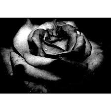 Background Black And Red Broken Heart Black Broken Heart Liked On Polyvore Black And White Flowers Black Rose Flower Black Rose