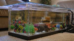 Midwest tropical fountain aqua end table aquarium tank. Coffee Table Design Aquarium Youtube