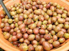 Olive Sott Olio Ricette Di Sardegna Ricetta Ricette Olive Conserva Zucca