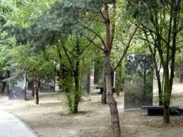 Parc De La Villette Paris Contains 10 Theme Gardens Garden Of Mirrors Le Jardin Des Miro Outdoor Landscape Lighting Landscape Lighting Outdoor Landscaping