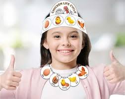 Chicken Life Cycle Activities