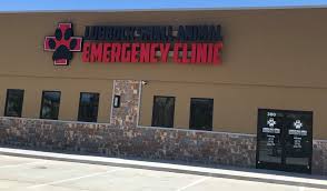 Check spelling or type a new query. Lubbock Small Animal Emergency Clinic Home Facebook