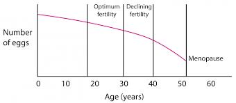 The menopause is when a woman stops having periods and is no longer able to get pregnant symptoms of the menopause. Fertility And Breast Cancer Treatment Breast Cancer Now