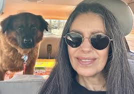 Gimme Shelter Animal Rescue Director Talks Foster Care