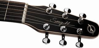 Seagull S6 Review Why Is It Such A Good Acoustic Guitar