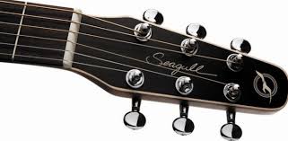 seagull s6 review why is it such a good acoustic guitar