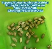 TOPSORT COLOR SORTER - YouTube