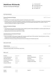 business development manager resume example