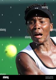 Casey dellacqua hi-res stock photography and images