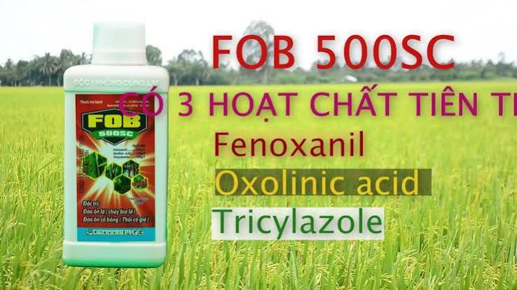 Fob 500SC