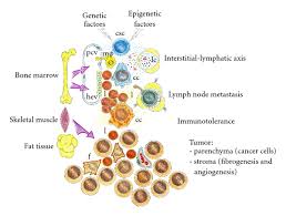 The dna inside a cell is packaged into a large number of individual genes, each of which contains a set of instructions telling the cell what functions to perform, as well as how to grow and divide. The Amazing Power Of Cancer Cells To Recapitulate Extraembryonic Functions The Cuckoo S Tricks