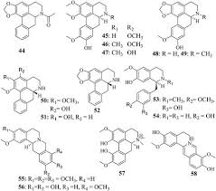 Image result for Monanthotaxis buchananii