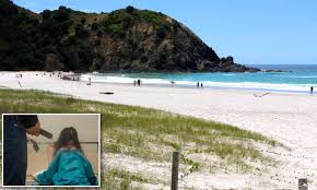 You asked for it: Mans haunting words before he attacked backpacker on  isolated nude beach | Daily Mail Online