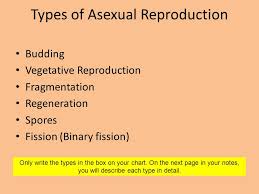 title your page sexual vs asexual reproduction notes