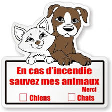 Stickers Avertissant Les Pompiers Qu 39 Il Y A Des Animaux A Sauver Et Combien Chien Chat Animal Domestique Stickers