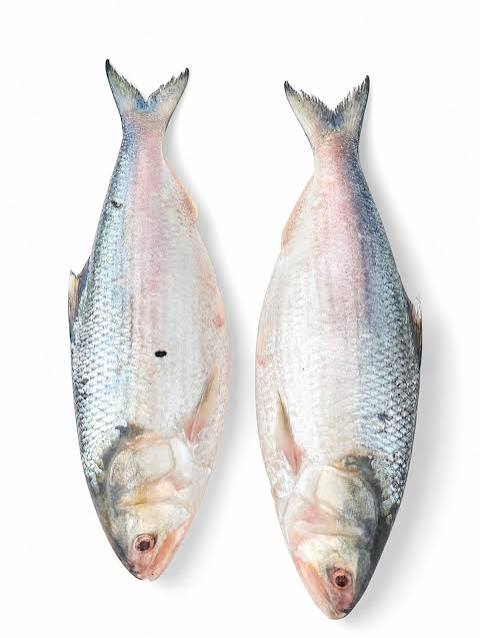 ইলিশ মাছ 1 PCS 1KG