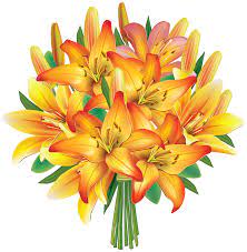 Yellow Lilies Flowers Bouquet PNG Clipart Image​ | Gallery Yopriceville - High-Quality Free Images and Transparent PNG Clipart