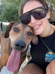 Why is ALFIE still waiting????!!!! 😭😭💔💔 If only someone would give this  sweet boy a chance... A few hundred dogs came and left while he still  waits!😭 He is spending his life