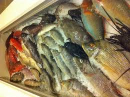 منتزه ومطعم الفلك Fulk1212 Twitter