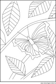 Window coloring pages getcoloringpages com. Schmetterling Window Color Bild Zum Ausdrucken