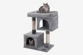 Maybe you would like to learn more about one of these? 10 Best Cat Trees 2021 The Strategist