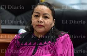 Busca diputada instituir figura de regiduría y diputación indígena