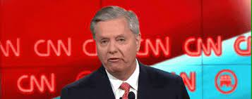 United states senator from south carolina. Lindsey Graham Gifs Get The Best Gif On Giphy