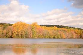 The historic core of the furnace operations and some of the surrounding fields and woodlands were retained and are administered by the national park service as hopewell furnace national historic site. Camping Review Of French Creek State Park Elverson Pa Tripadvisor
