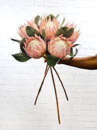 The finest in silk flower arrangements, fake plants and artificial trees. Protea Stems 6 X Mauve Bloomable