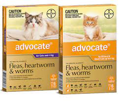 Luckily, there are several medications for cat heartworm prevention. Advocate Flea Worm Treatment For Cats Vebo Pet Supplies Australia