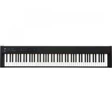 The piano is one of the most popular musical instrument lots of people delight in playing. Korg D1 Digital Piano 88 Key Free Soft Case D1sc Dj City