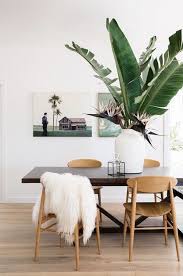 11 Steps To Resort Decor How To Bring Vacation Vibes Home When You Can T Get Away Paper And Stitch The bird of paradise is considered the queen of the indoor plant world. 11 steps to resort decor how to bring