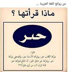 أحلام مستغانمي on instagram من روائع اللغة العربية instagram words fun quotes funny funny arabic quotes