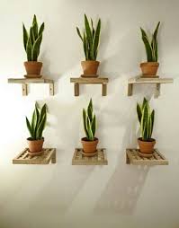Convierte el exterior de tu casa en un oasis verde. Decorar Con Plantas Y Macetas Recicladas 90 Ideas Con Plantas